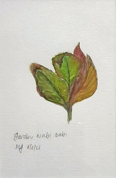 Marit Greenwood - Garden wabi sabi